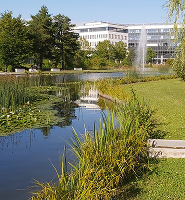 See stärkt natürlichen Wasserkreislauf im Business Campus in Garching bei München