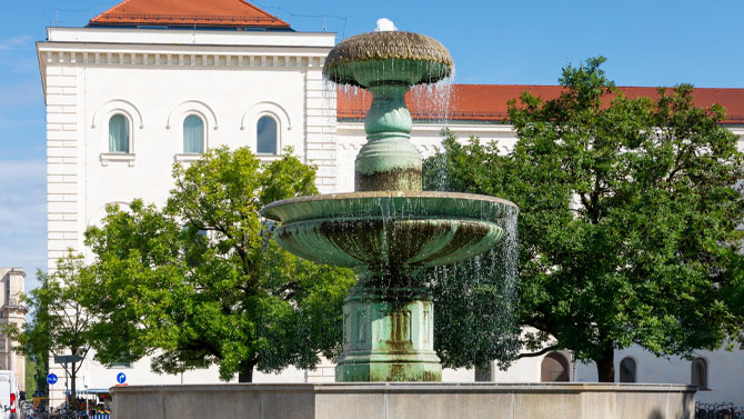 Stadtbäume vor der Universität in München