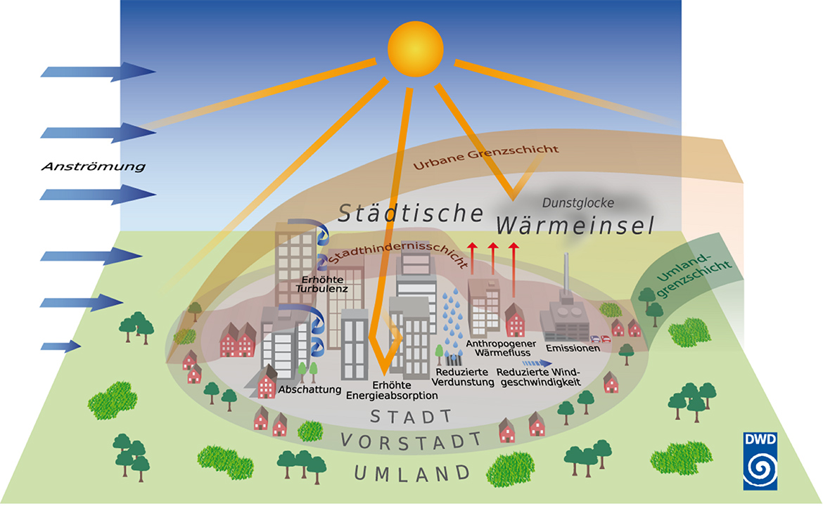 Die Grafik zeigt die Luftansicht einer gezeichneten Stadt samt Umland. Auf Grund der stärkeren Versiegelung heizen sich Städte schneller auf als das begrünte Umland und speichern die Wärme für eine längere Zeit. Weitere Faktoren, die diesen Effekt verstärken können sind anthropogene Wärmeemissionen sowie insbesondere verminderter Luftaustausch auf Grund zu dichter Bebauung.