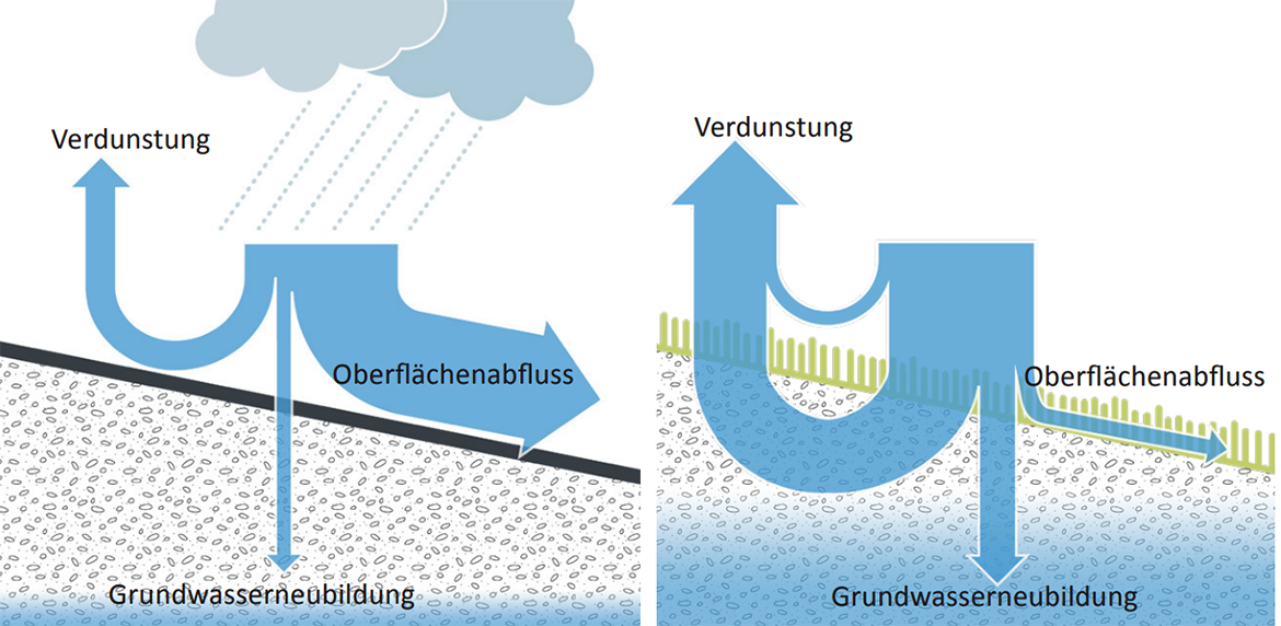 Auf befestigtem Untergrund fließt der größte Teil des Regenwassers ab, nur wenig verduns-tet oder versickert in den Untergrund. Bei einem natürlich bewachsenen Boden verdunstet und versickert sehr viel Wasser und nur ein geringer Anteil fließt ab.