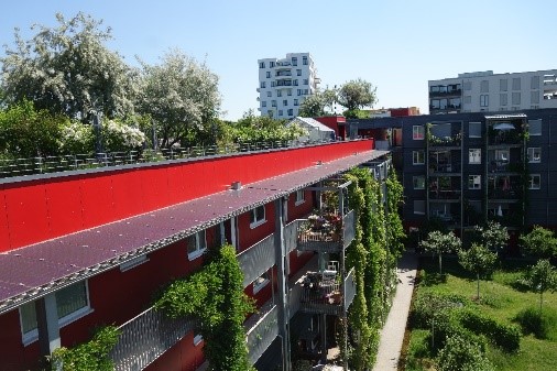 Das Bild zeigt  Dachgarten, Fassadenbegrünung und Apfelhain im genossenschaftlichen Wohnprojekt wagnis4 am Ackermannbogen, München