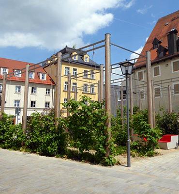Das Foto zeigt die
Begrünung des Schwanenplatzes in der denkmalgeschützten Regensburger Altstadt.
