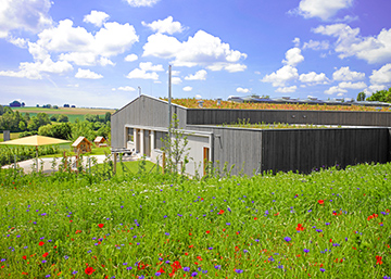 Blumenwiese vor Holzgebäude mit Gründach