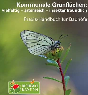 Auf dem Deckblatt des Praxis-Handbuchs „Kommunale Grünflächen: vielfältig – artenreich – insektenfreundlich“ sind neben dem Titel ein schwarz-weißer Schmetterling und das Logo des Blühpakt Bayern zu sehen.