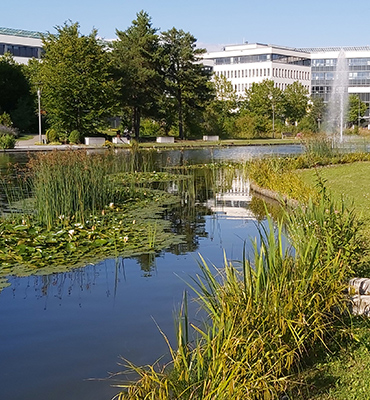 See stärkt natürlichen Wasserkreislauf im Business Campus in Garching bei München
